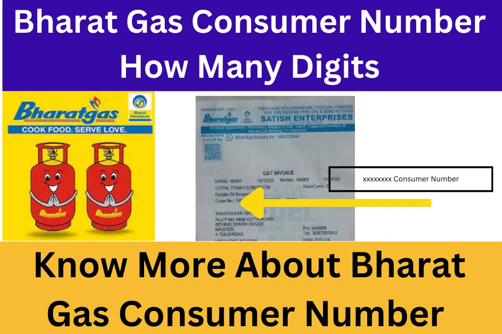 2024-how-to-know-bharat-gas-consumer-number-a-comprehensive-guide